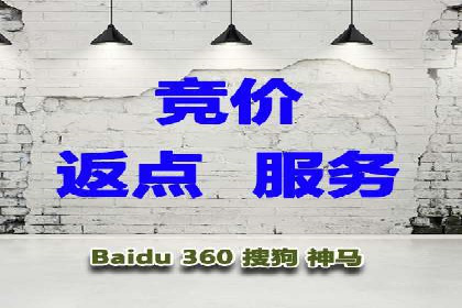 谷歌SEM与移动端优化：某APP的推广策略及效果